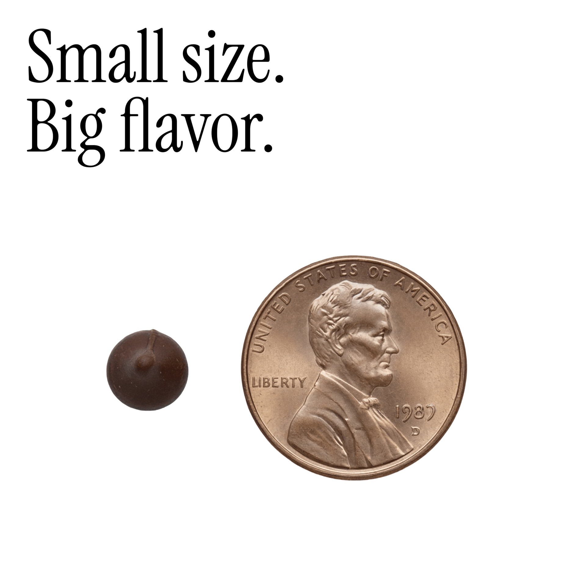 Dark Chocolate Mini Chips - ANTI CHOCOLATE